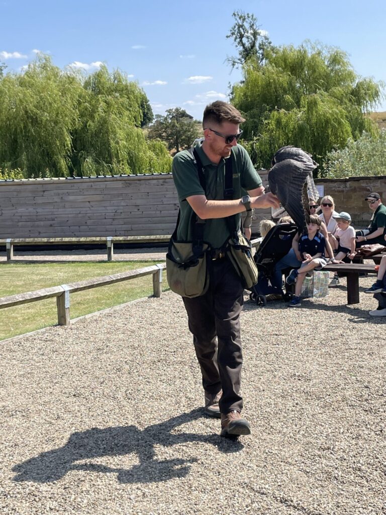 Thirsk - Birds of Prey Centre - July 2026