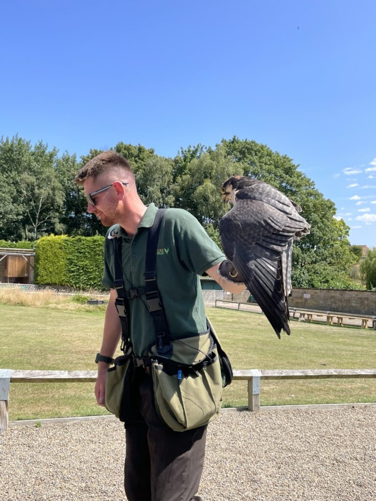 Thirsk - Birds of Prey Centre - July 2026